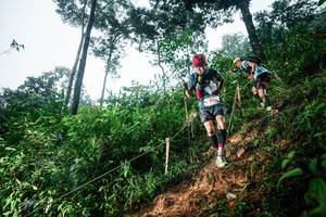 BIB: 
                            <button type="button" onclick="openModal(26202197)" class="btn btn-primary btn-sm float-right btn-popup" data-toggle="modal" data-target=".modal-high-quality">
                        <i class="fas fa-shopping-cart"></i> Add to Cart
                    </button>
                                            <button type="button" onclick="isThisMe(26202197, true)" class="btn btn-success btn-sm float-right btn-popup btn-isme hidden" data-toggle="tooltip" data-placement="bottom" title="นี่คือรูปของคุณใช่ไหม คลิกที่นี่เพื่อเอาเข้าอัลบั้ม">
                        <i class="fas fa-plus"></i> Add to album
                    </button>
                    <button type="button" onclick="isThisMe(26202197, false)" class="btn btn-warning btn-sm float-right btn-popup btn-isnotme hidden">
                        <i class="fas fa-ban"></i> Remove from album
                    </button>